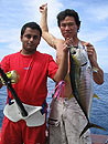 Similan Island Yellowfin Tuna.