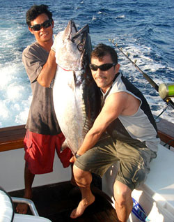Massive Dogtooth Tuna from The Andaman Islands.