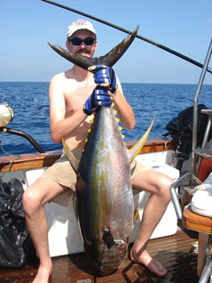 XXL Yellowfin Tuna.