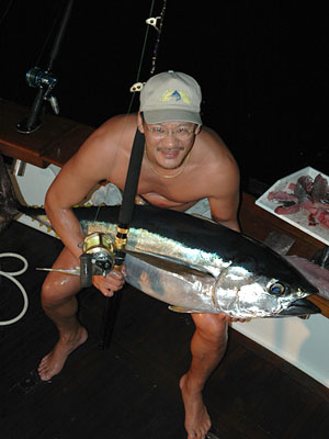 Yellowfin Tuna at night.