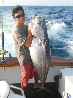 Tuna Size