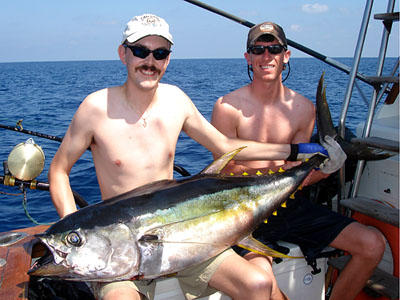 Yellowfin Tuna.