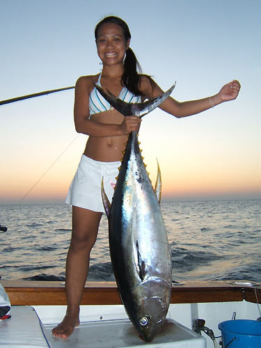Yellowfin Tuna from the Andaman Islands.