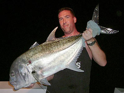 Giant Trevally during the night.