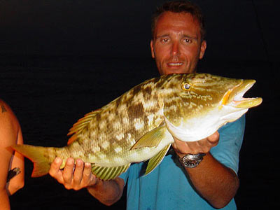 Light tackle fishing during the night.