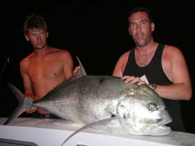 Giant Trevally near the Similan Islands - Thailand.