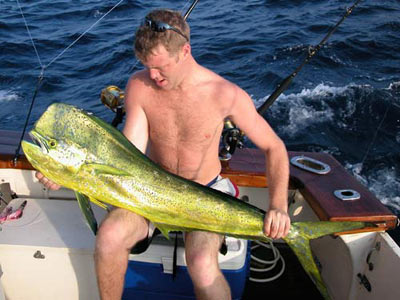 Dorado near the Surin Islands - Thailand.