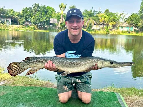 Alligator Gar Pattaya