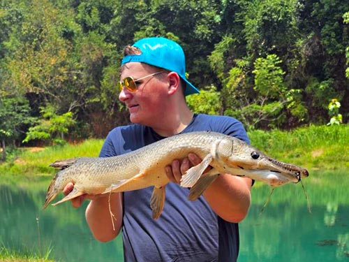 Alligator Gar.