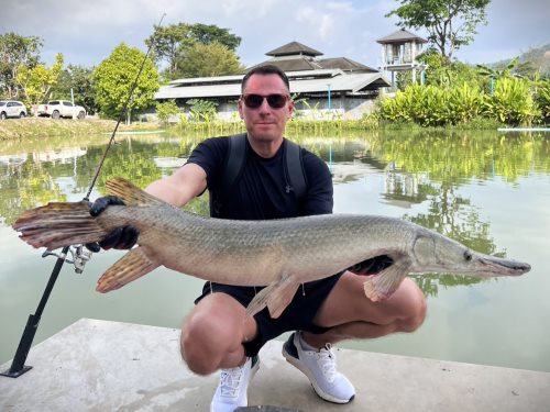 Alligator Gar.