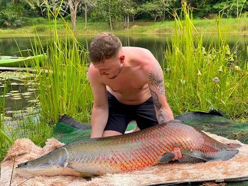 Arapaima at Khao Lak Fishing Park.