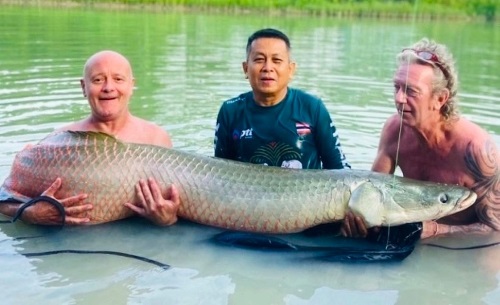 Arapaima from Patong Fishing Park Phuket.