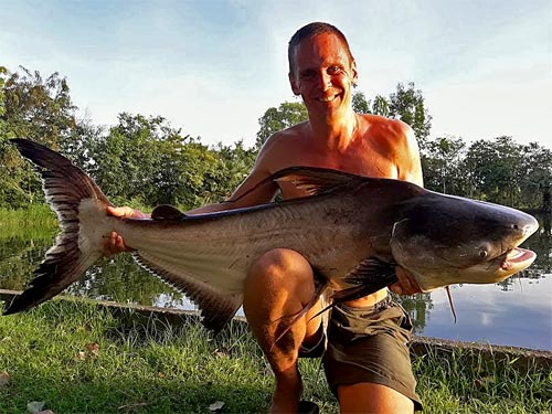 Cheow Phraya Catfish from Taipar Lake.