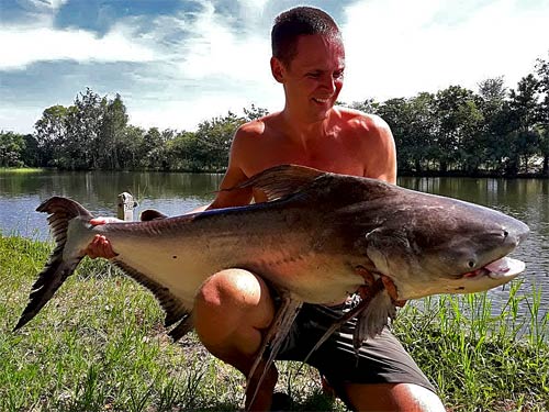 Cheow Phraya Catfish from Taipar Lake.