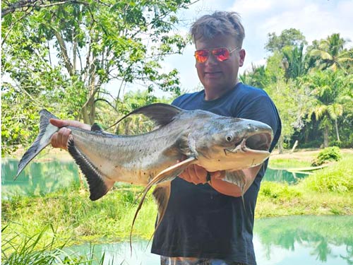 Cheow Phraya Catfish at Khao Lak Fishing Park.