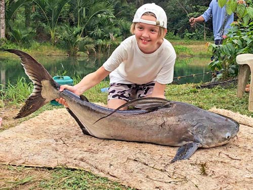 Cheow Phraya Catfish at Khao Lak Fishing Park.