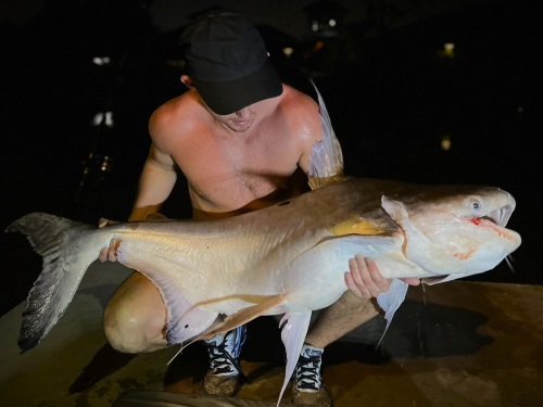 Cheow Phraya Catfish Patong.