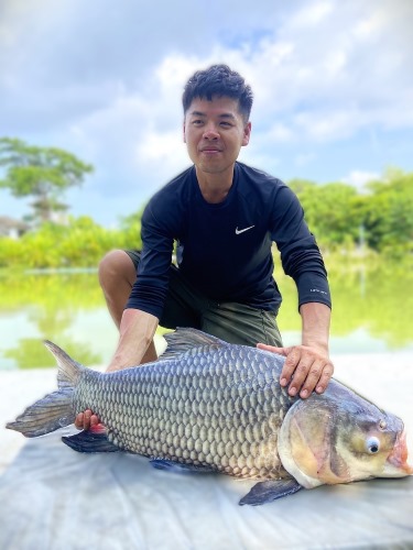 Giant Siamese Carp at Patong Fishing Park.