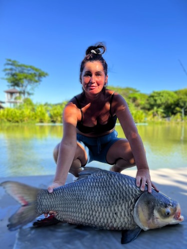 Giant Siamese Carp.