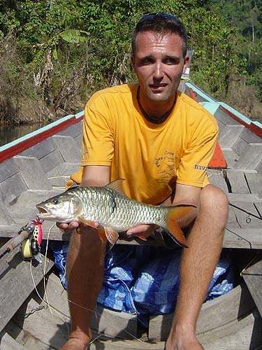 Hampala Barb jungle fishing.