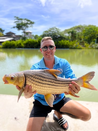 Giant Siamese Carp.