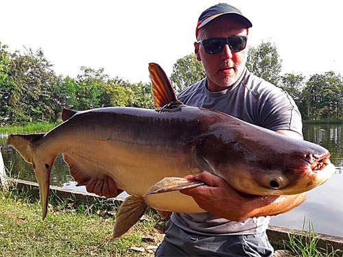 Giant Mekong Catfish at Taipar Lake.