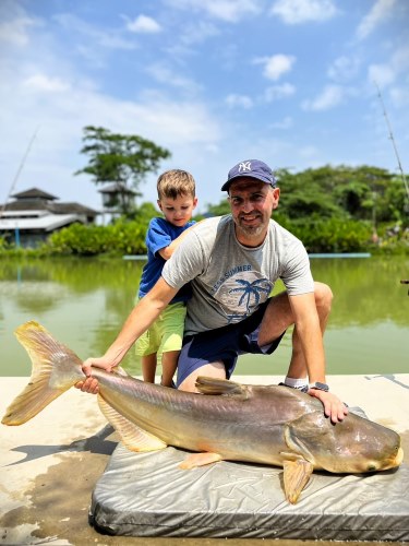 Mekong Catfish.