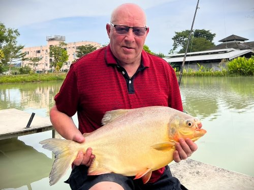 Pacu.