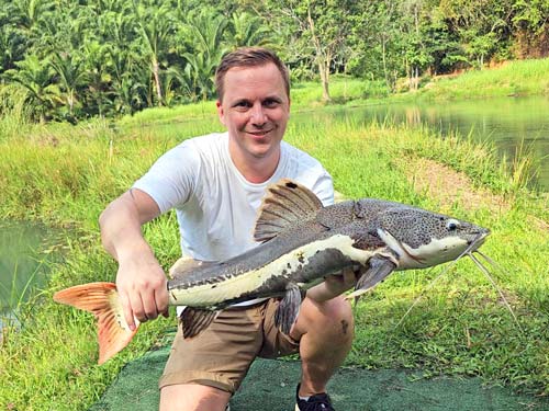 Redtail Catfish.