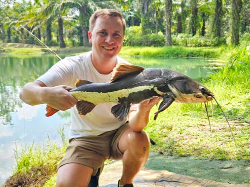 Amazon Redtail Catfish.