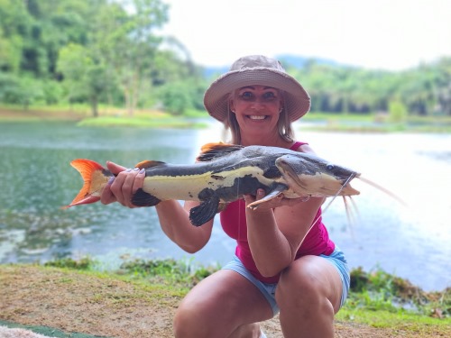 Amazon Redtail Catfish.