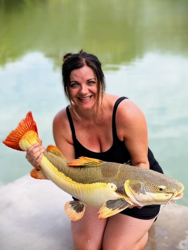 Redtail Catfish.