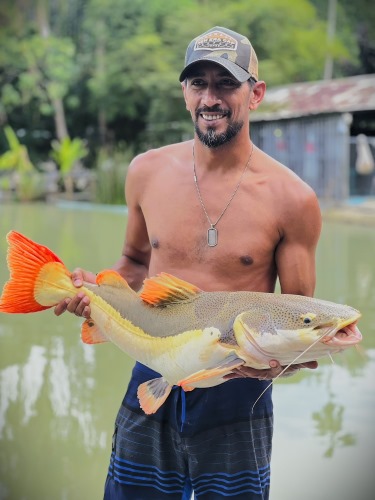 Catfish.