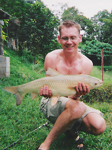 A beautiful Small Scale Mud Carp.