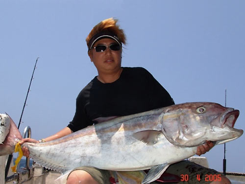 Good size Amberjack.