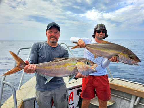 Double Amberjack hookup!