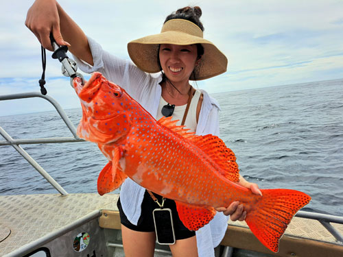 Coral Trout.