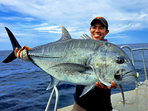 Giant Trevally