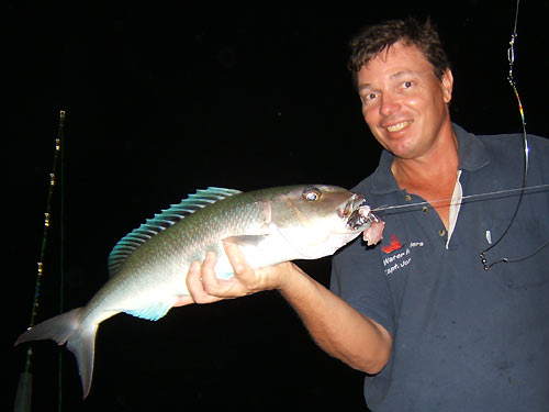 Green Jobfish - Saltwater Fish Species - Fishing Khao Lak