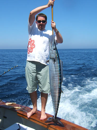 Wahoo from the Andaman Islands.